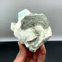 specimen video