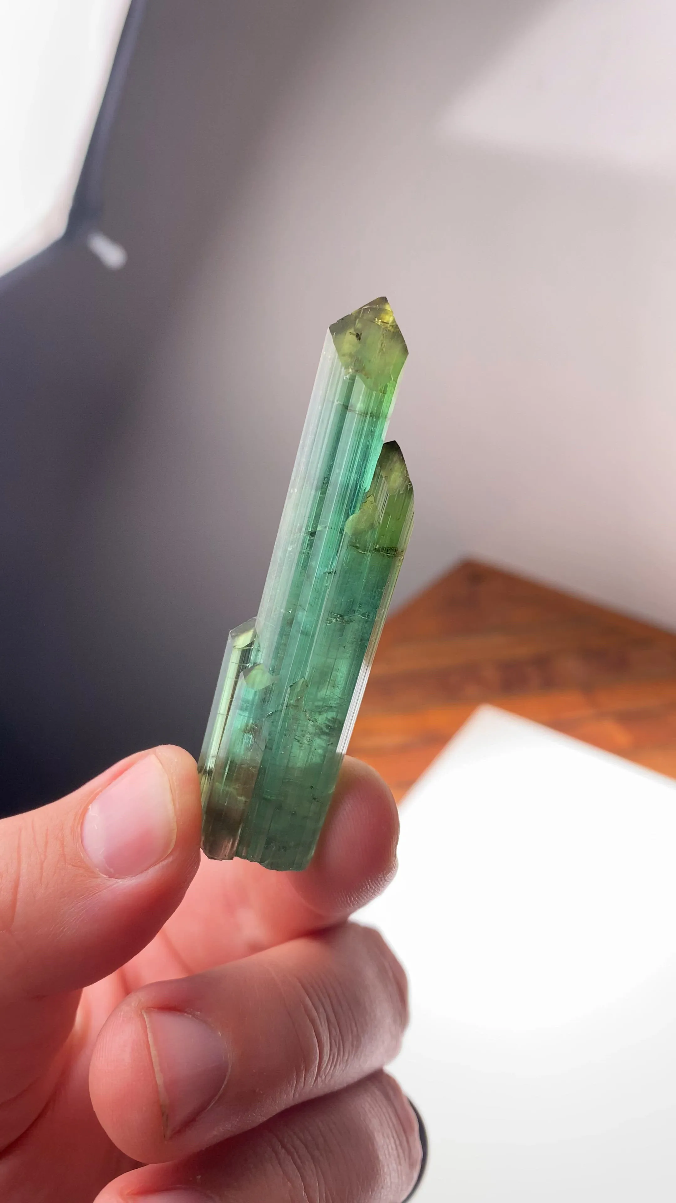 specimen video
