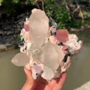 specimen video
