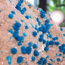 specimen video