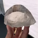 specimen video