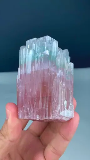 specimen video