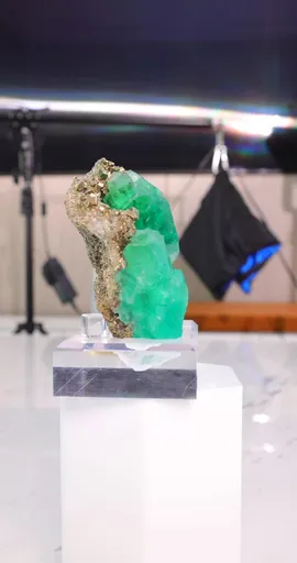 specimen video