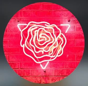 Rose MF