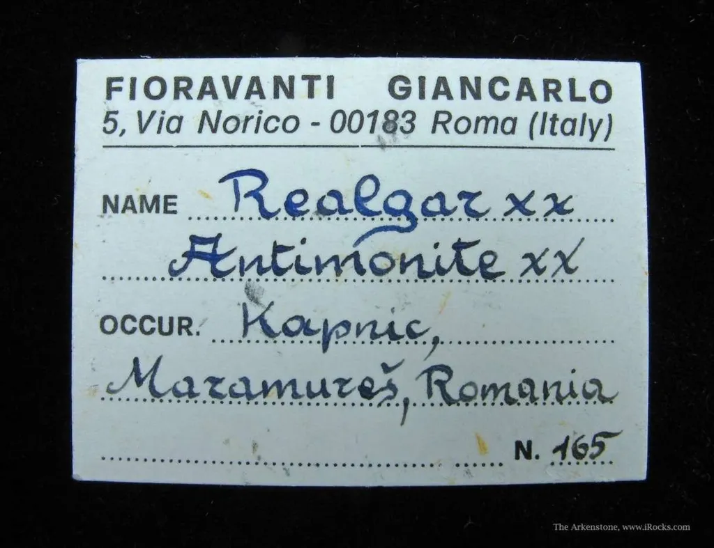 specimen