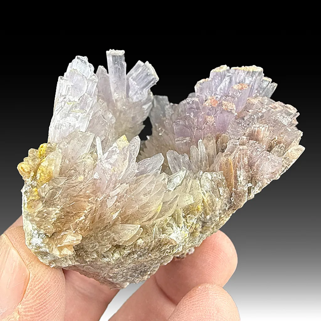 Creedite