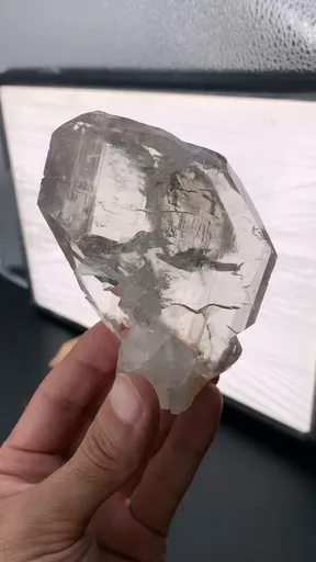 specimen video