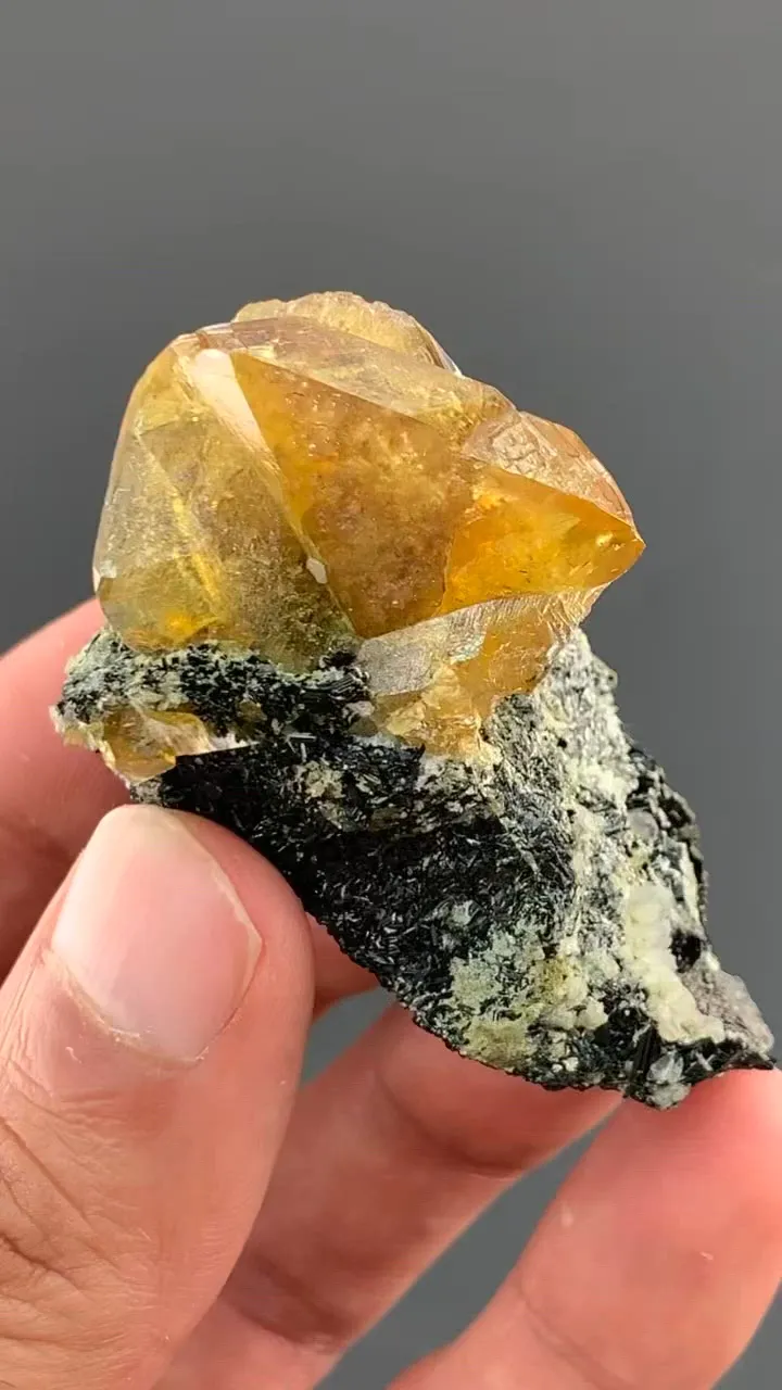 specimen video
