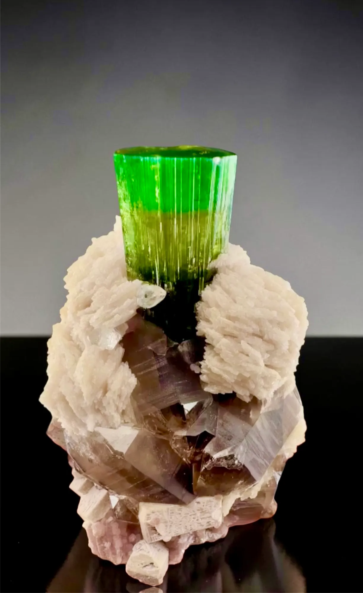 Profile cover