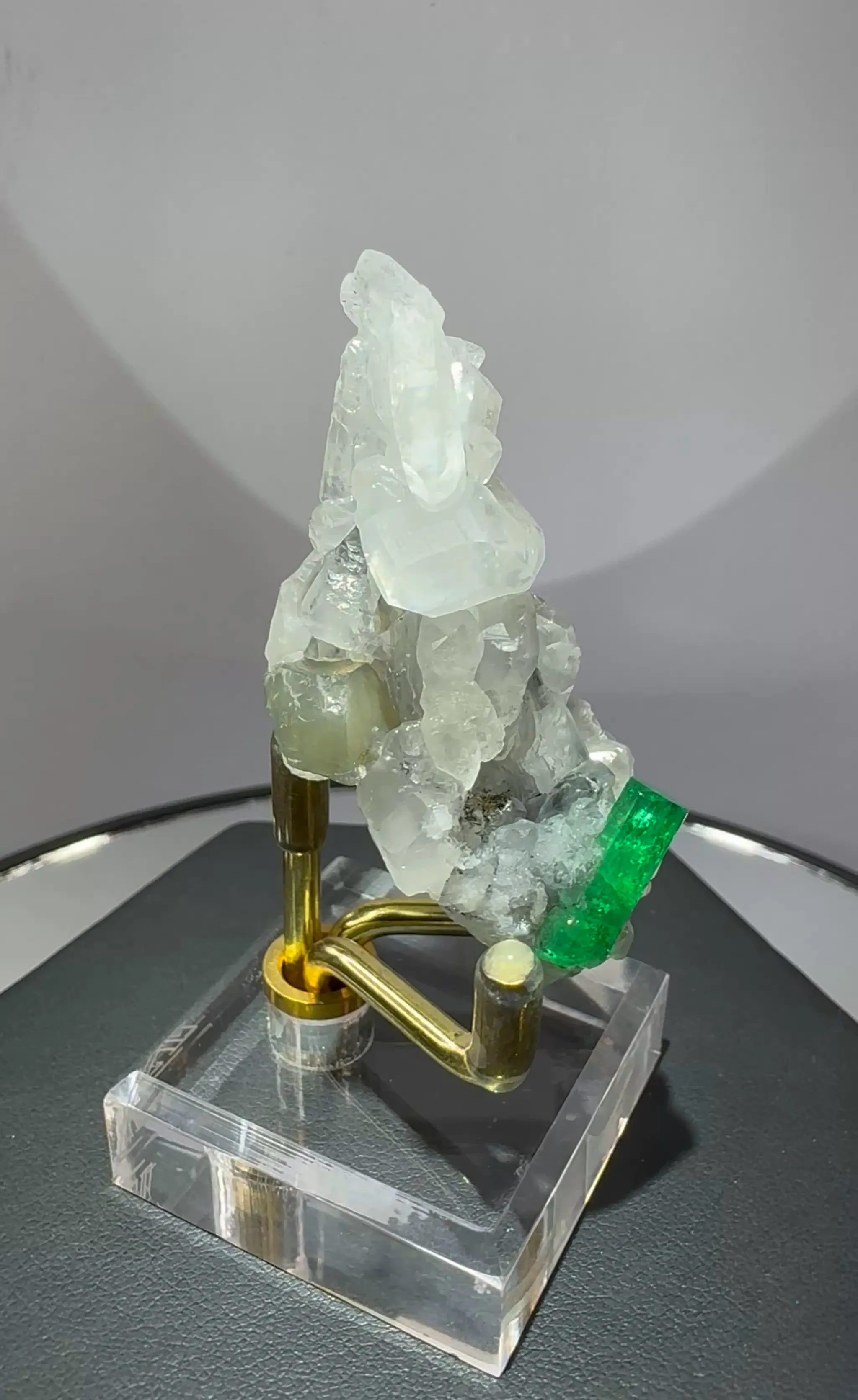 specimen video