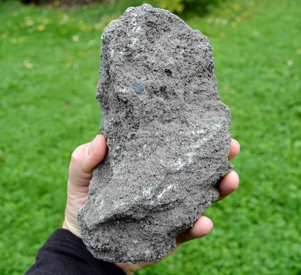 specimen