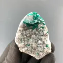 specimen video