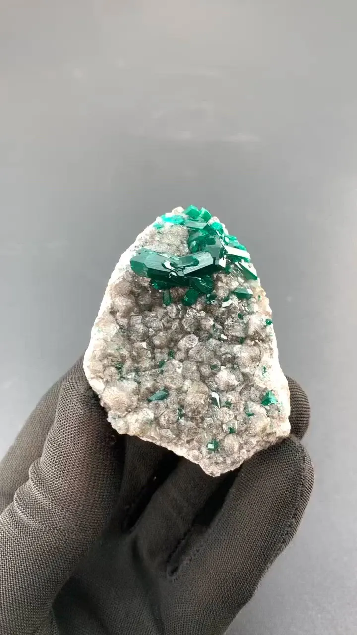 specimen video