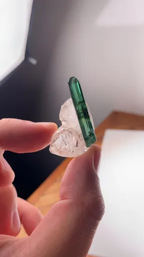 specimen video