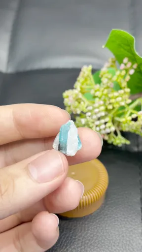 specimen video