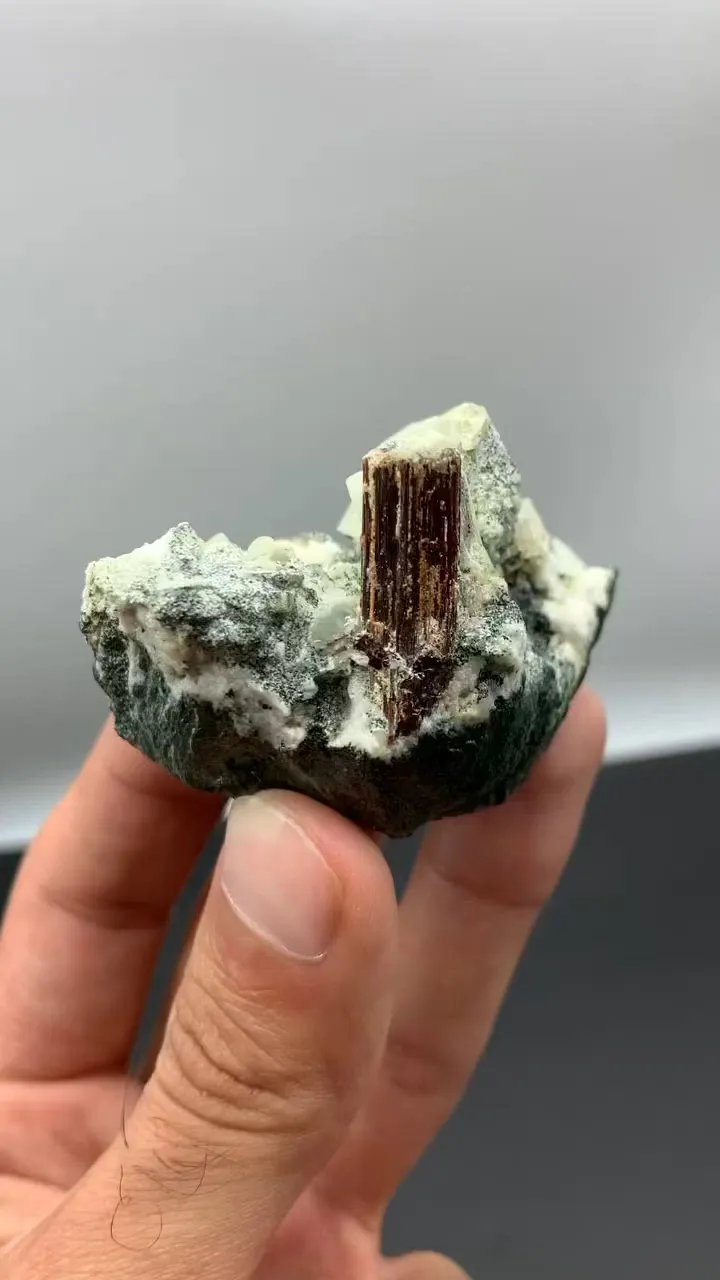 specimen video