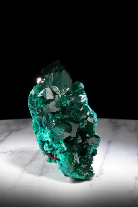 specimen video