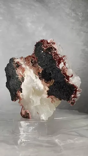 specimen video