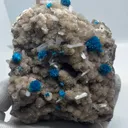 specimen video