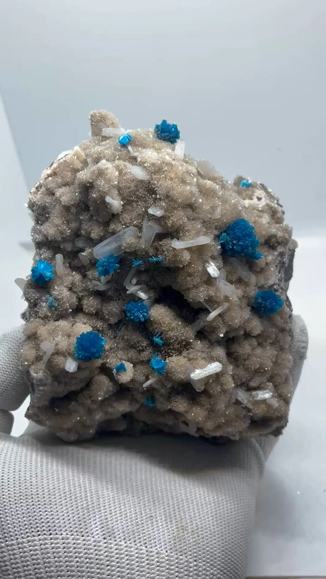 specimen video