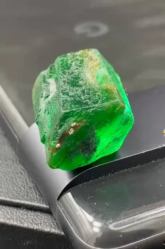 specimen video