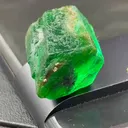 specimen video
