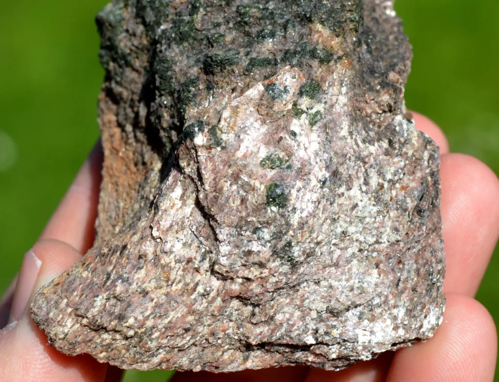 specimen