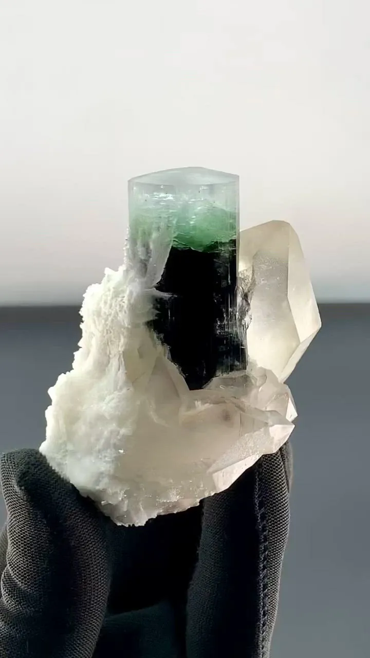 specimen video