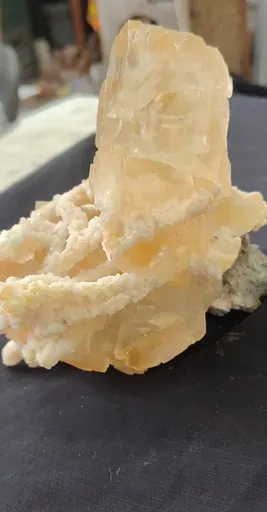 specimen video