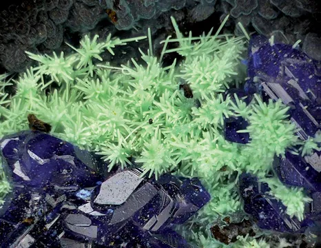 Mount Diablo pit, USA Locality Guide