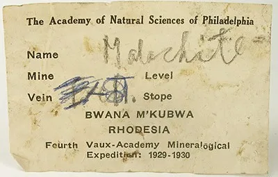 specimen