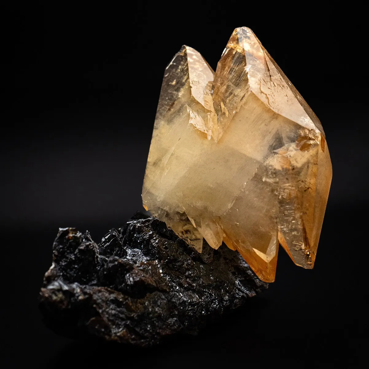 Profile cover
