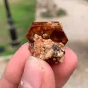 specimen video