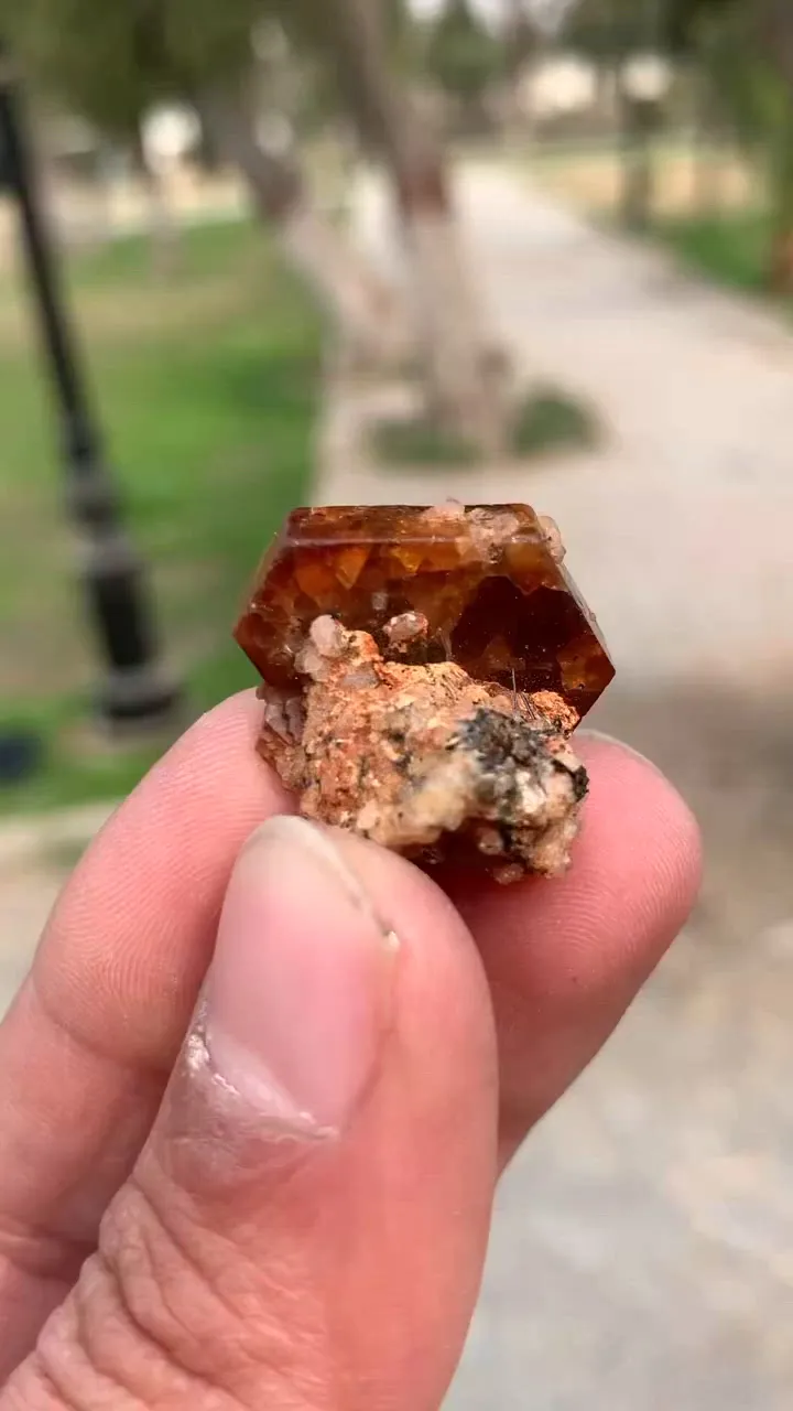 specimen video