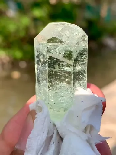 specimen video