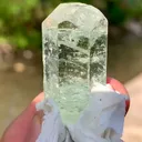 specimen video