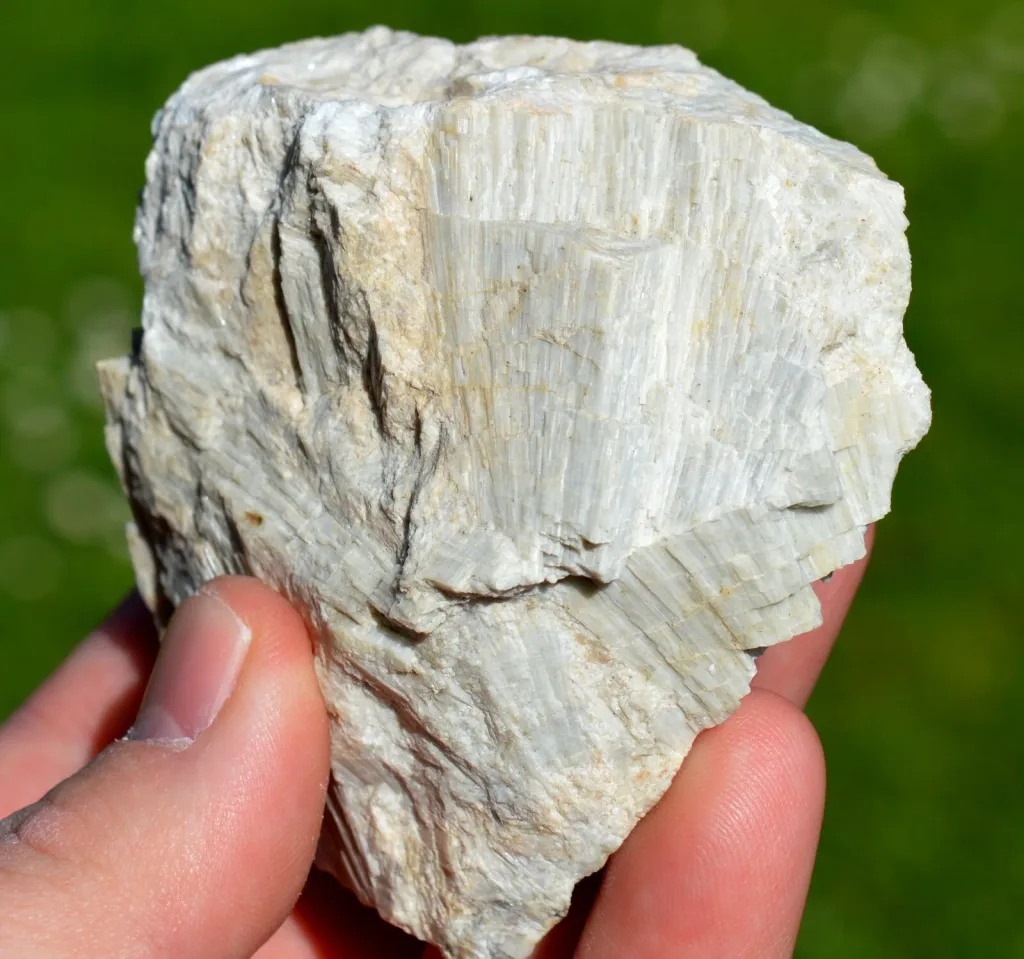 specimen