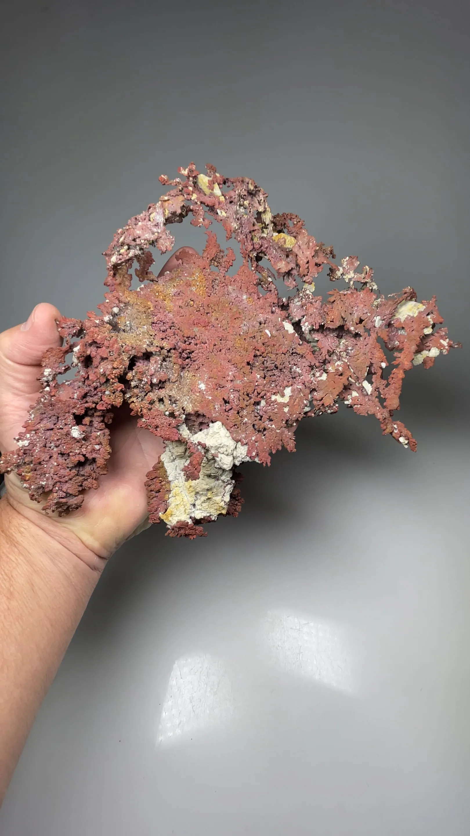specimen