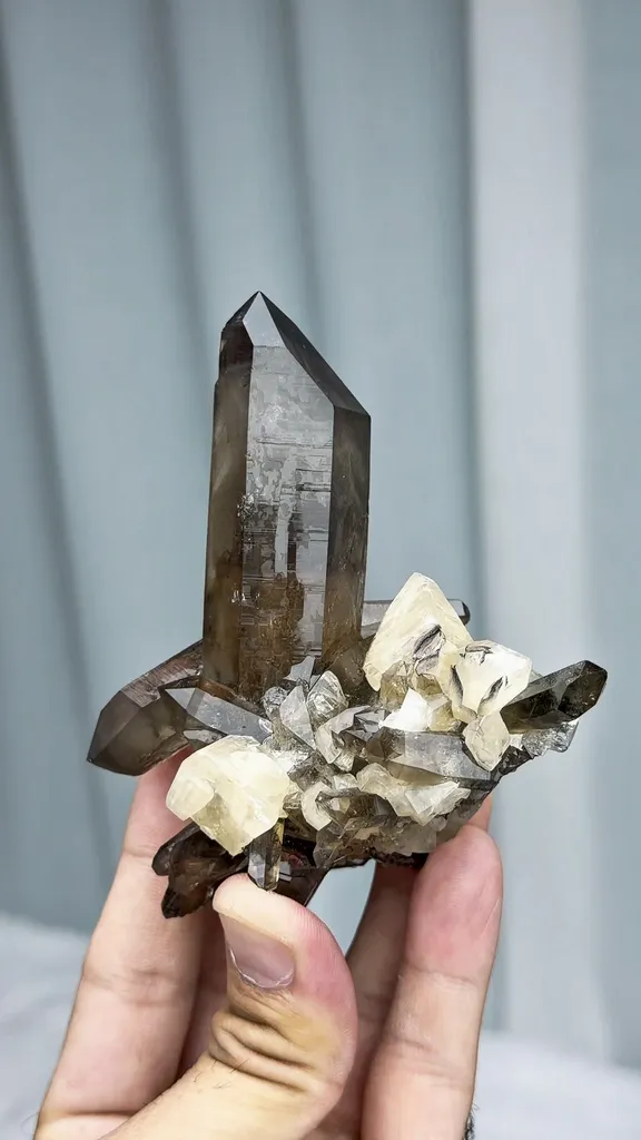 specimen video