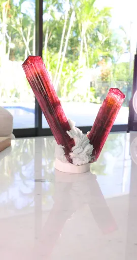 specimen video