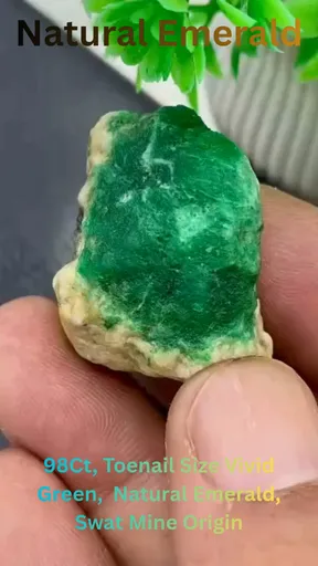 specimen video