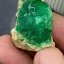 specimen video