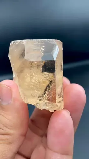 specimen video