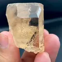 specimen video