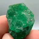 specimen video