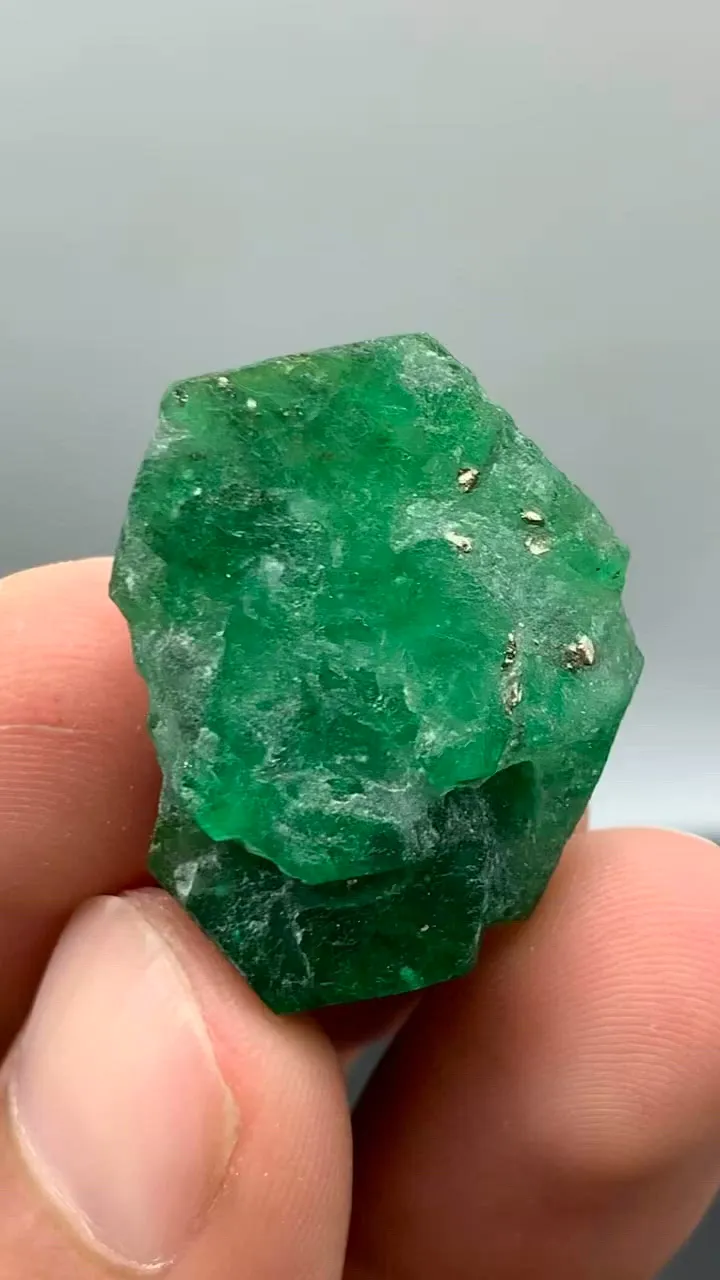 specimen video