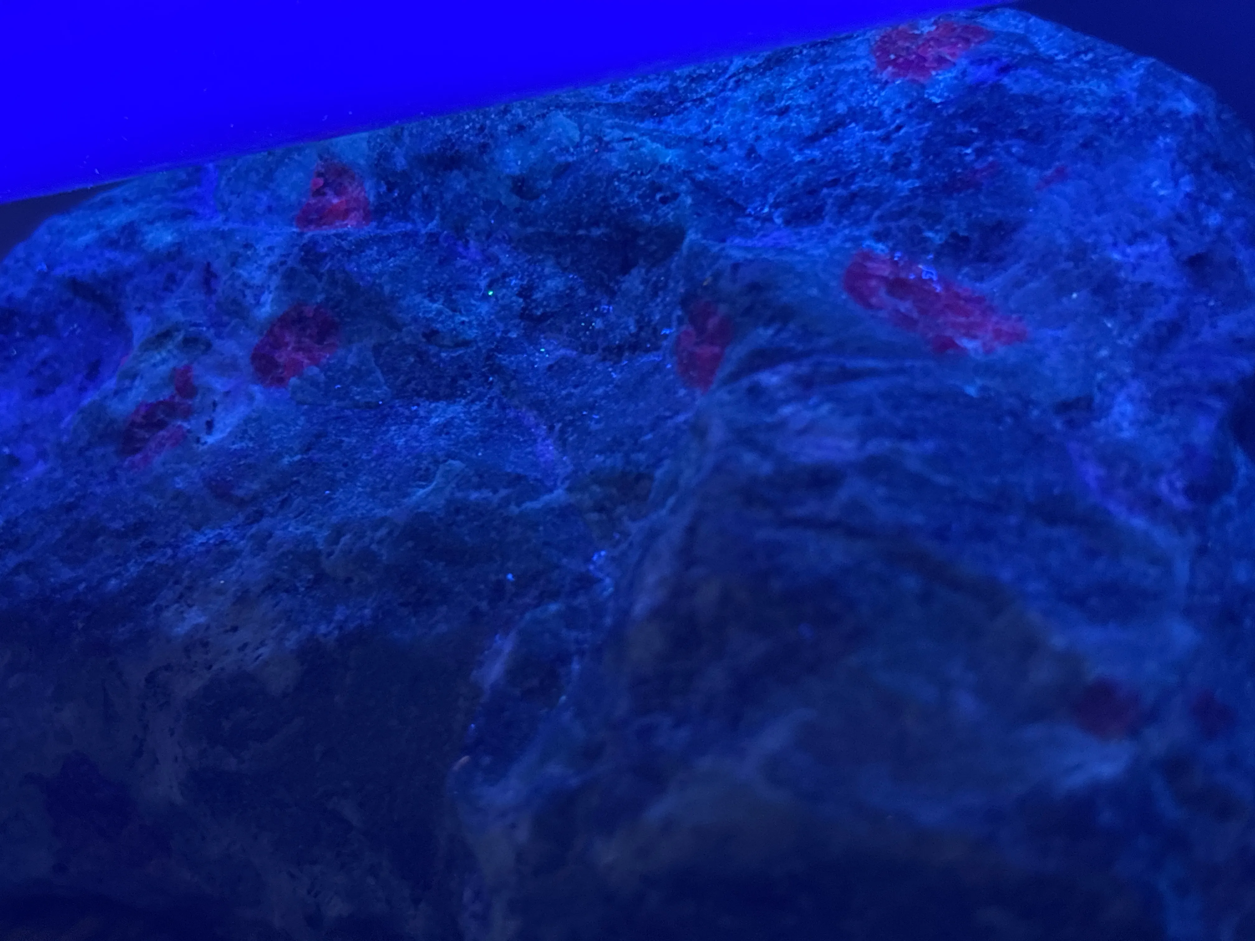 Profile cover