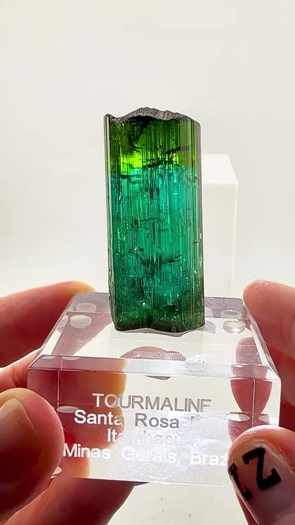 A window into the heart of a Tourmaline image