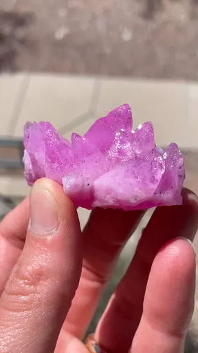 specimen video