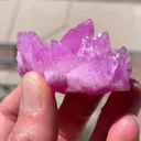 specimen video